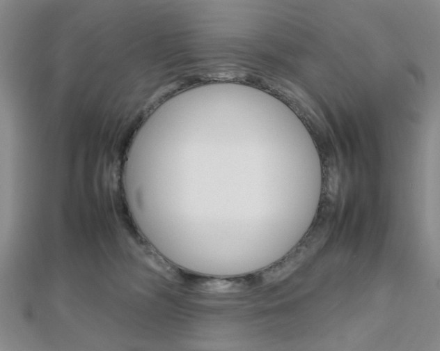 X0000112810326200908210944