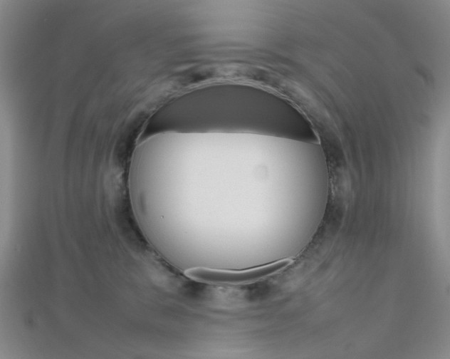 X0000112810327200908210944