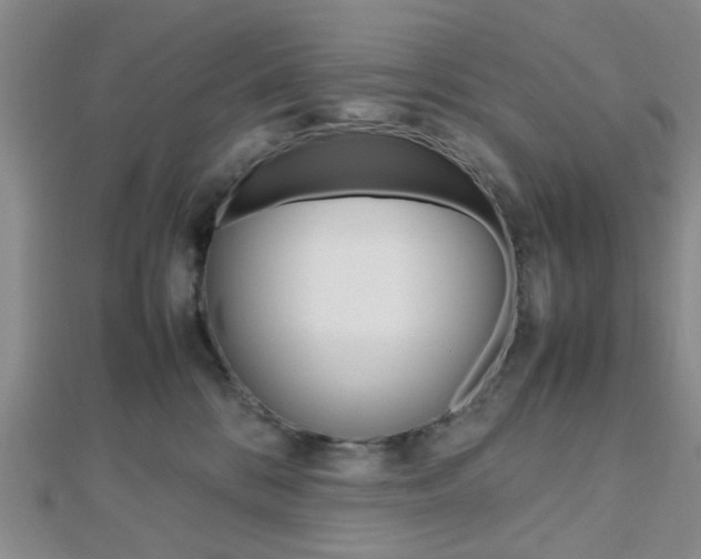 X0000112810328200908210944
