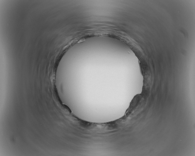 X0000112810329200908210944