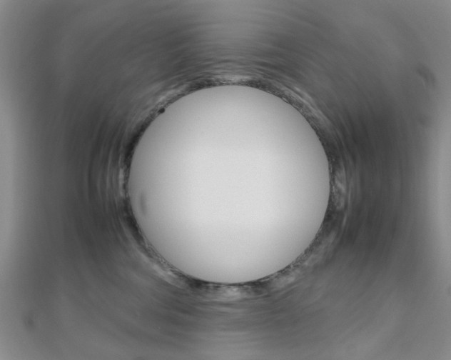 X0000112810330200908210944
