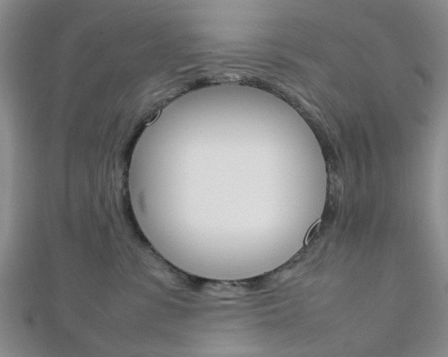 X0000112810331200908210944
