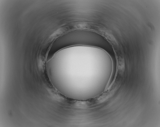 X0000112810332200908210944