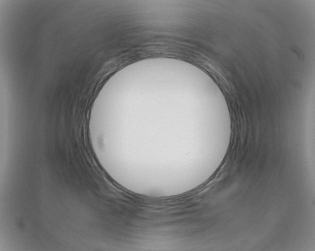 X0000112810333200908210944