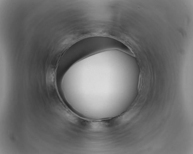X0000112810336200908210943