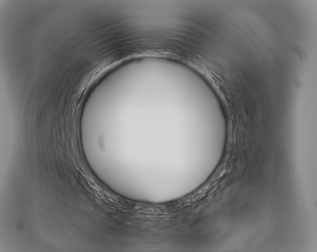 X0000112810337200908210943