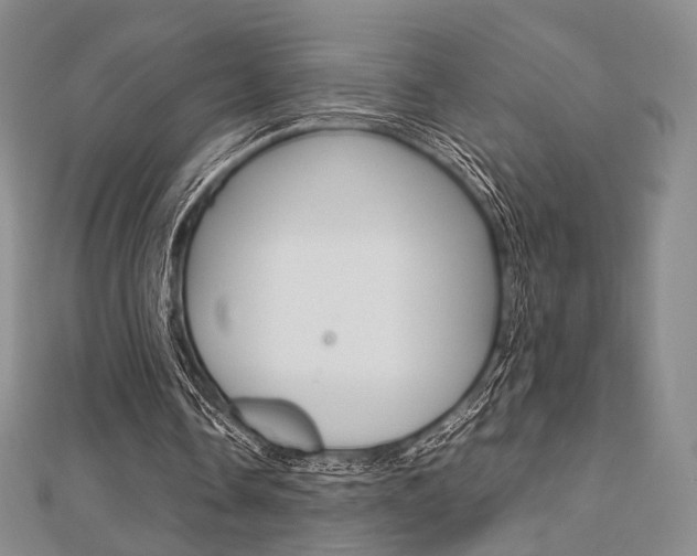 X0000112810338200908210943