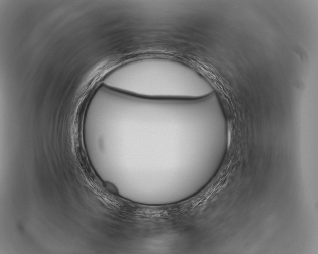 X0000112810339200908210943