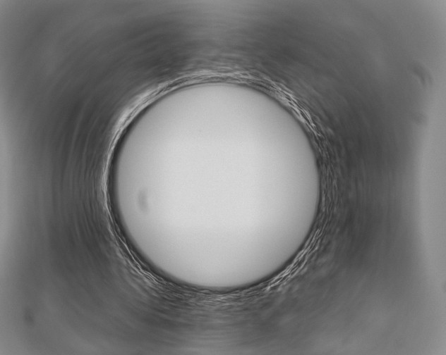 X0000112810340200908210943