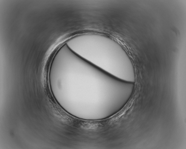 X0000112810343200908210943