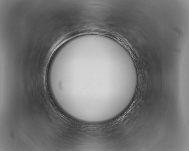 X0000112810344200908210943