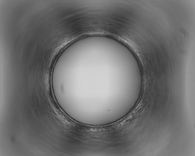 X0000112810345200908210943