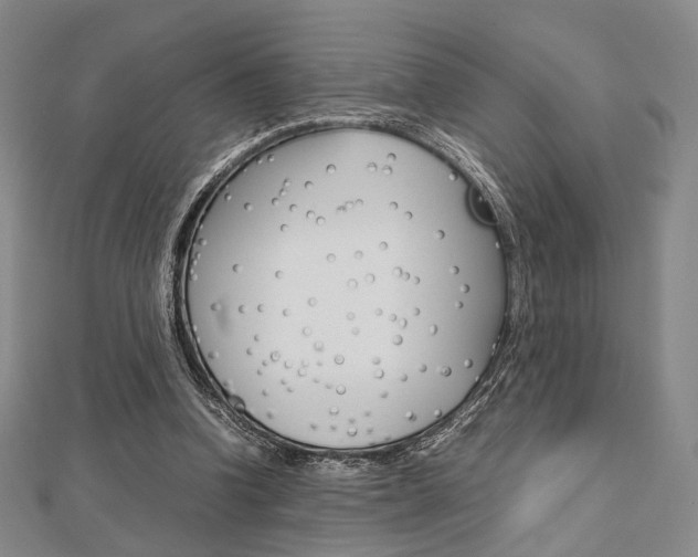 X0000112810346200908210943