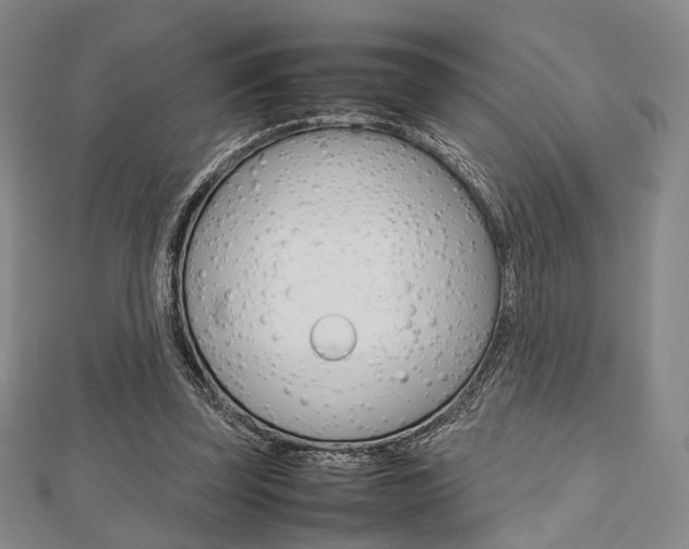 X0000112810347200908210943
