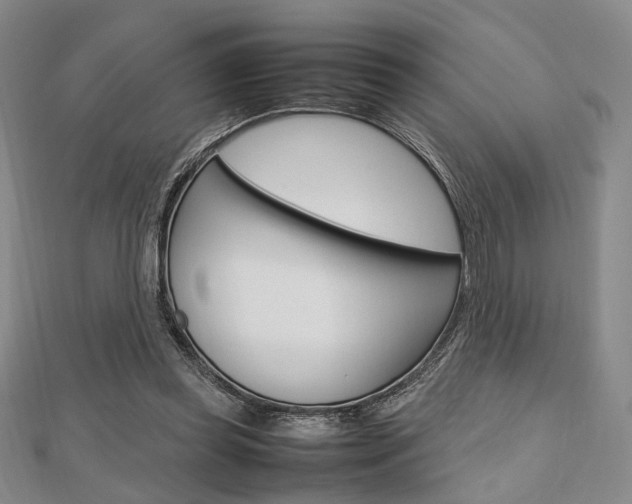 X0000112810349200908210943