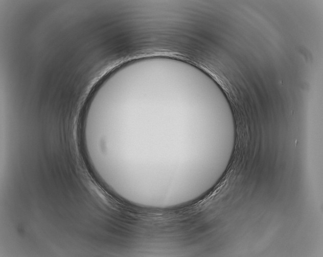 X0000112810350200908210943