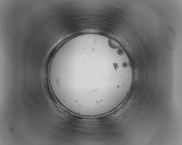 X0000112810351200908210943
