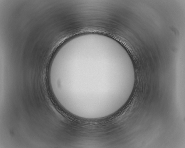 X0000112810352200908210943