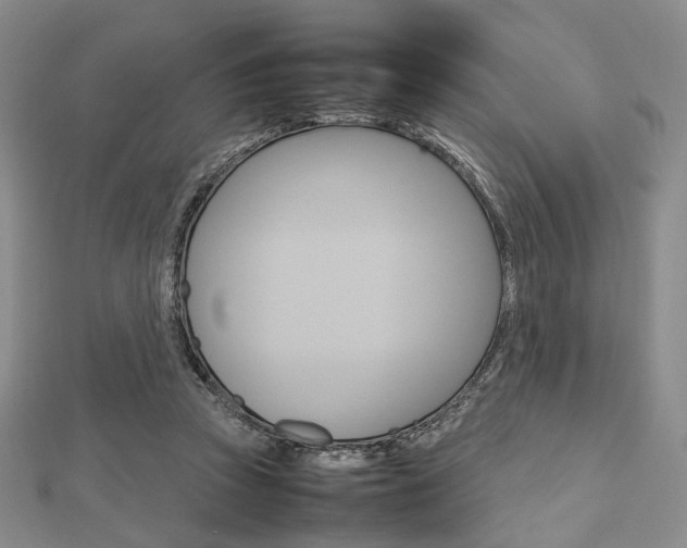 X0000112810353200908210943