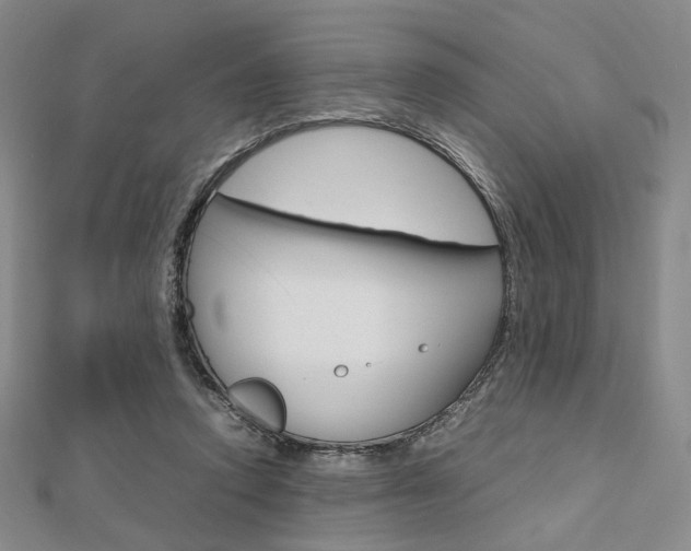 X0000112810354200908210943