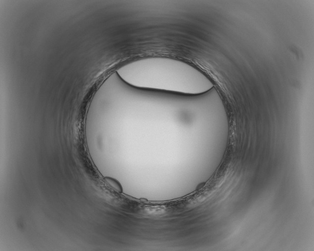 X0000112810355200908210943