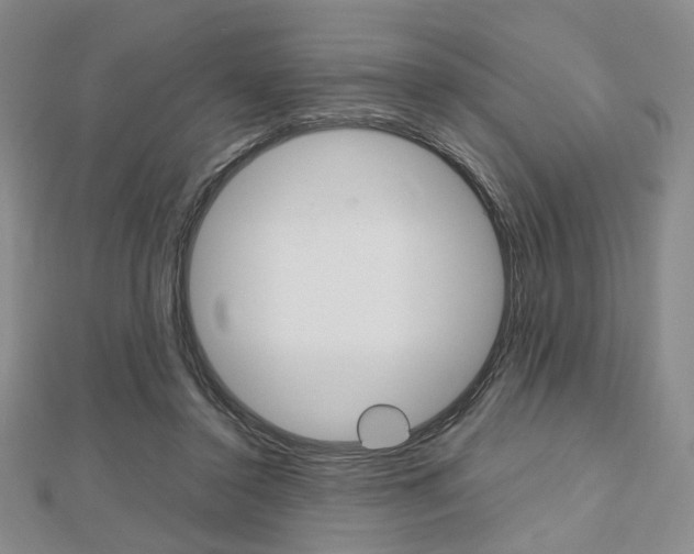 X0000112810356200908210943
