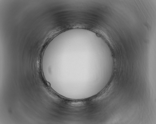 X0000112810357200908210943