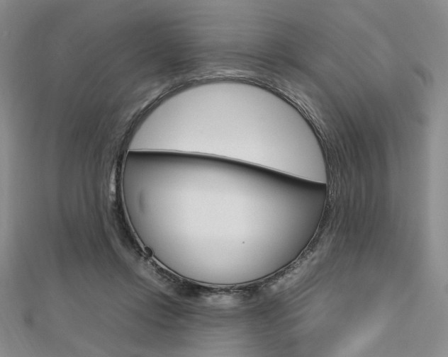 X0000112810358200908210943