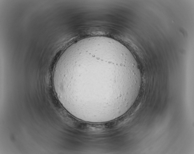 X0000112810359200908210943