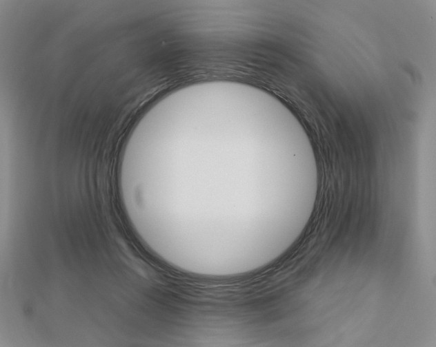X0000112810360200908210943