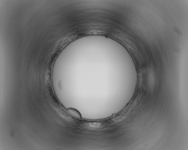 X0000112810361200908210943