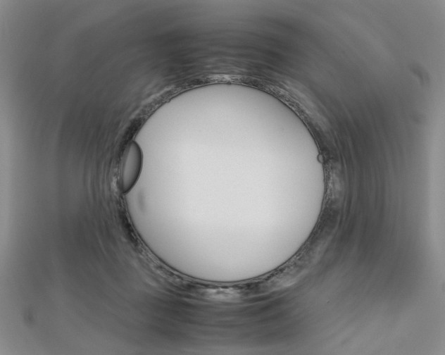 X0000112810363200908210943