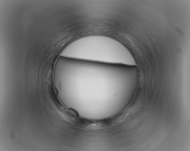X0000112810364200908210943
