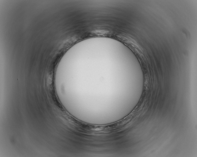 X0000112810365200908210943