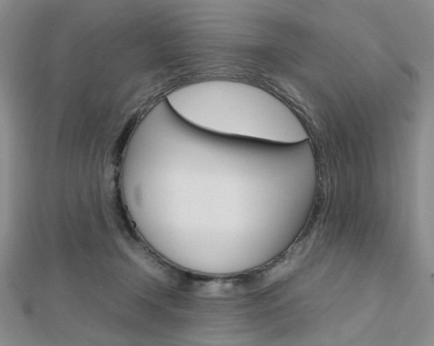 X0000112810366200908210943