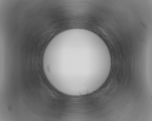 X0000112810368200908210943