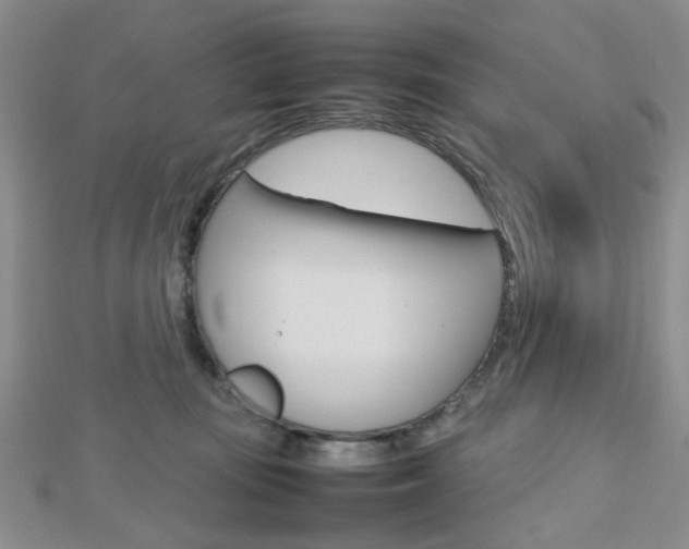 X0000112810371200908210943