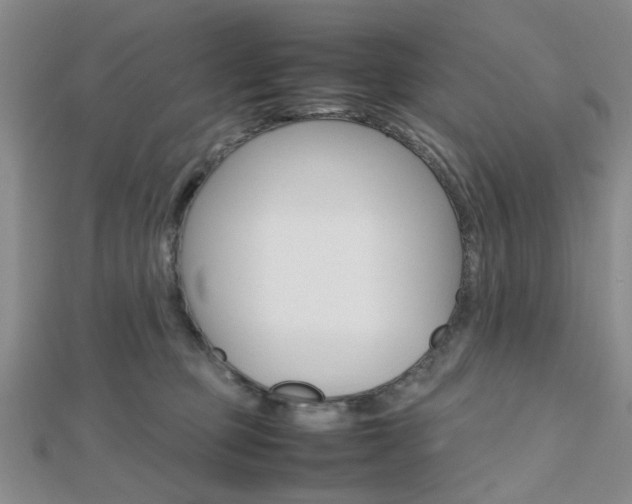 X0000112810373200908210943