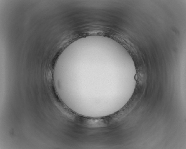X0000112810375200908210943