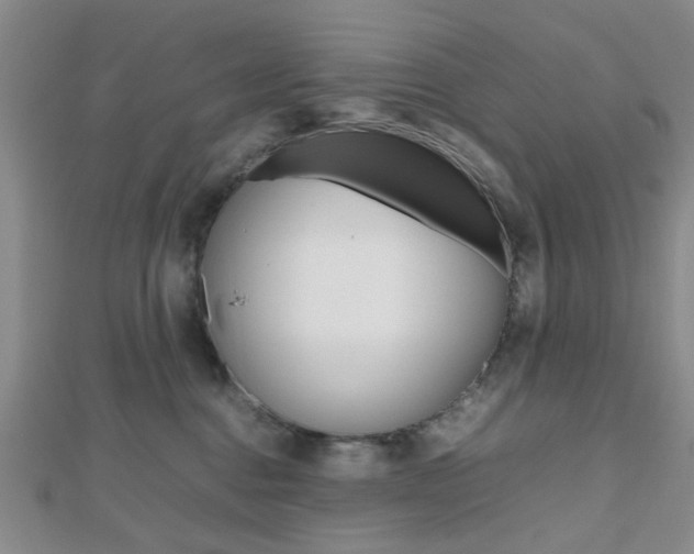 X0000112810376200908210943