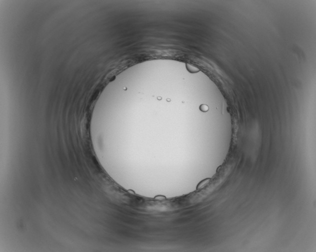 X0000112810377200908210943