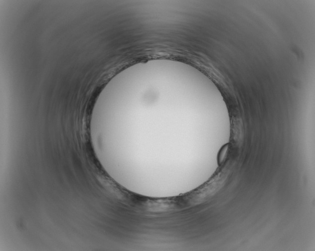X0000112810378200908210943