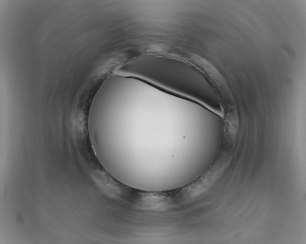X0000112810380200908210943