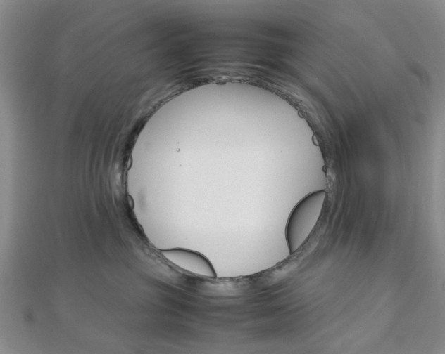 X0000112810381200908210943