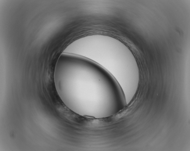 X0000112810382200908210943