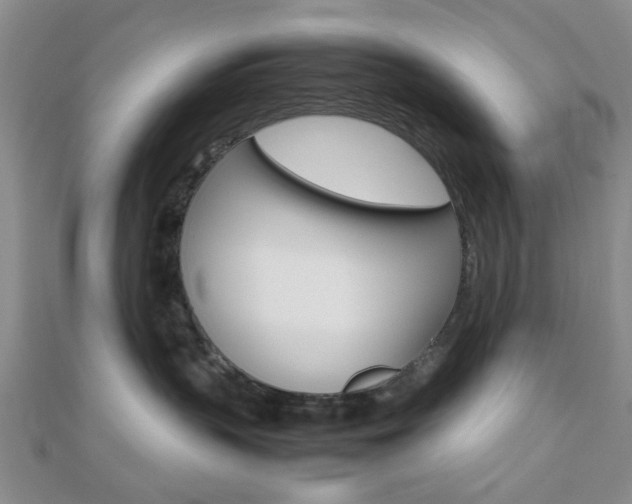 X0000112810383200908210943
