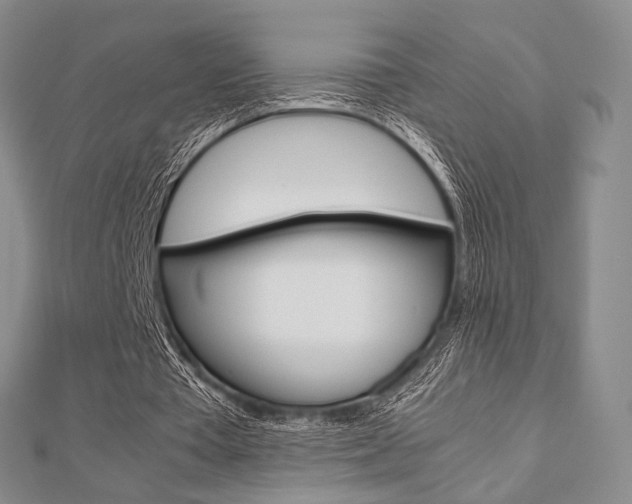 X0000112810385200908210943