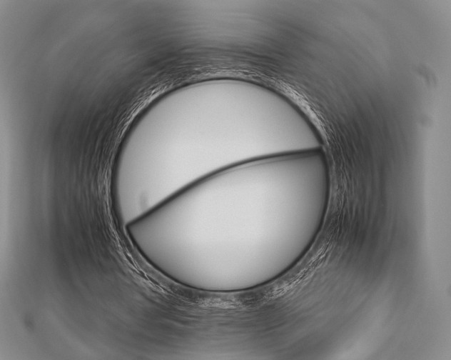 X0000112810386200908210943