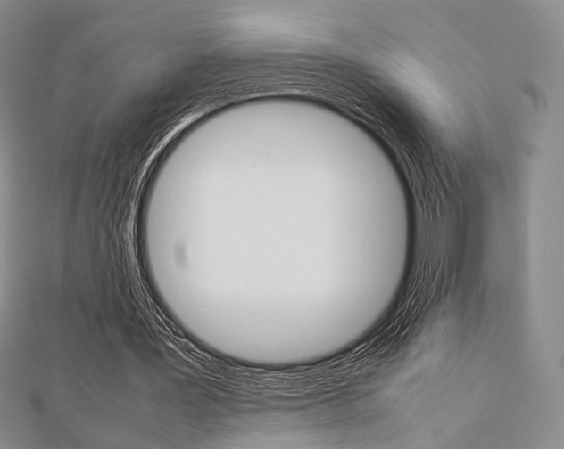 X0000112810387200908210943