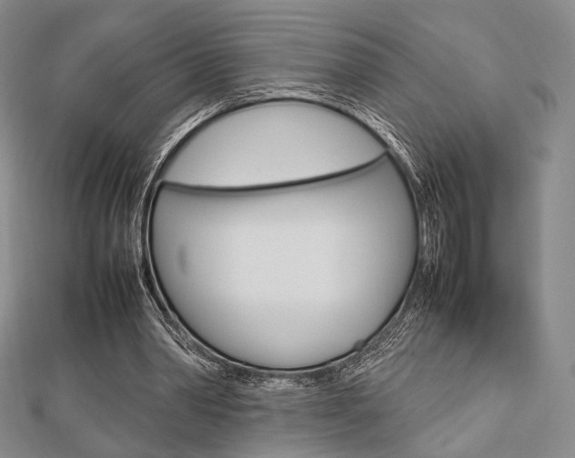 X0000112810390200908210943